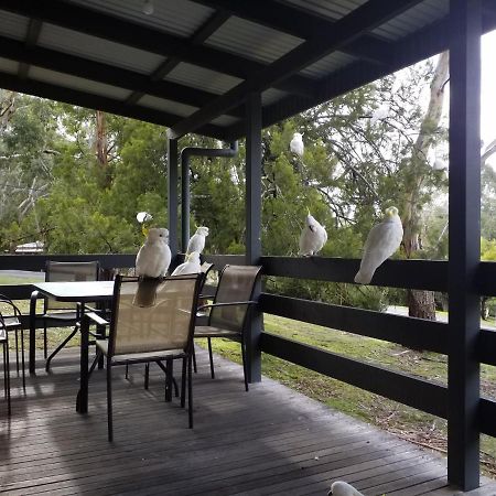 Cockatoo Cabin هولز غاب المظهر الخارجي الصورة